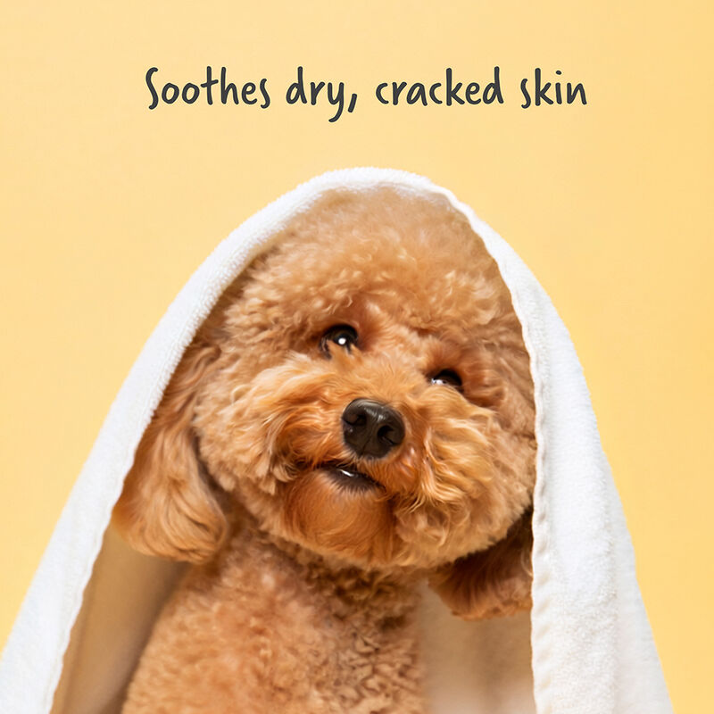 CHI Vibes For Dogs Nose and Paw Protector Balm, , large image number null